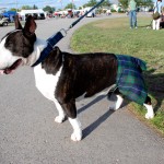 Get your kilt on for the highland games